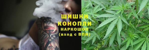 шишки Абаза