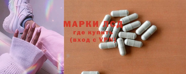 шишки Абаза