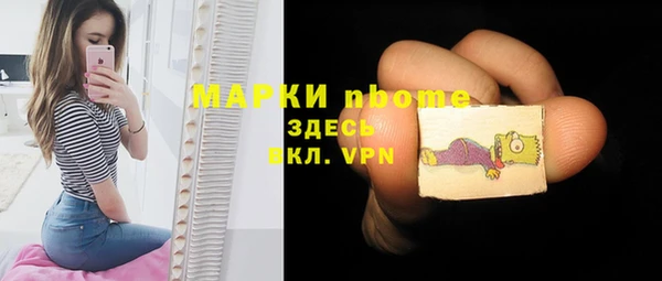 шишки Абаза